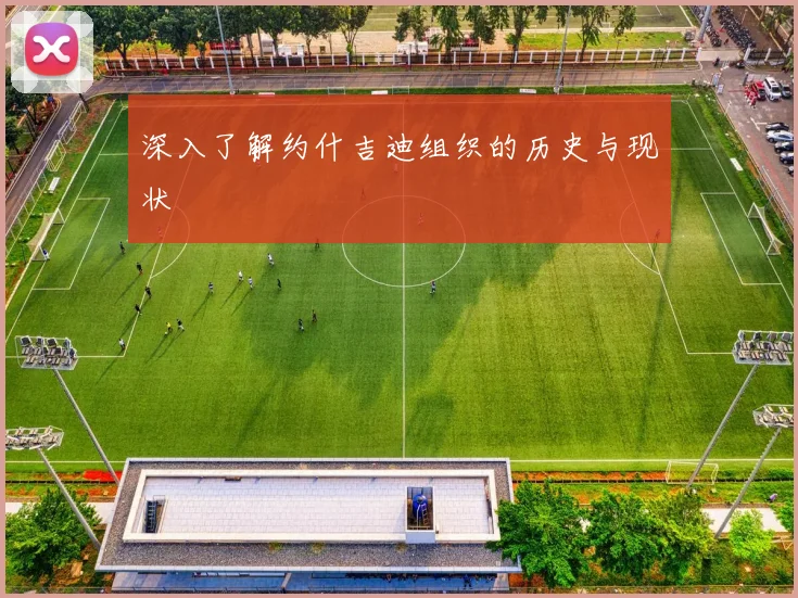 深入了解约什吉迪组织的历史与现状